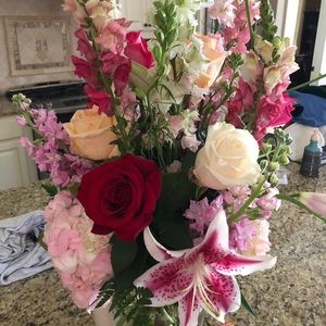 Meet your Posher, Hahnna